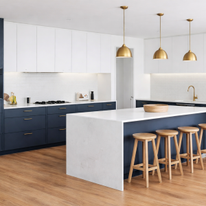 virtuve ar salu zila